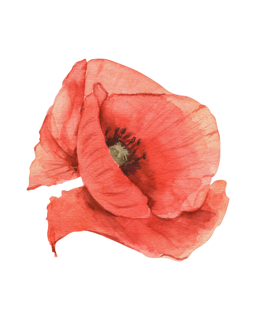 fleur5